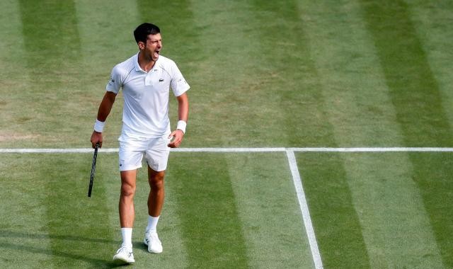 华体会体育官网-德约闯温网16强再创纪录 躲过盘点赛后自比“战狼”